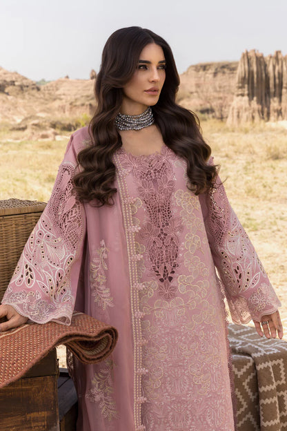 Rang Rasiya | Premium Eid Collection | Aysel