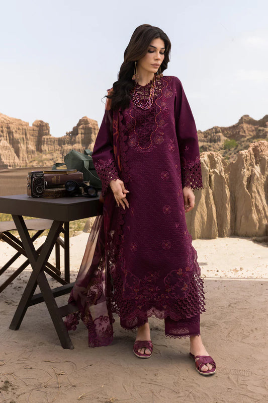 Rang Rasiya | Premium Eid Collection | Amyra