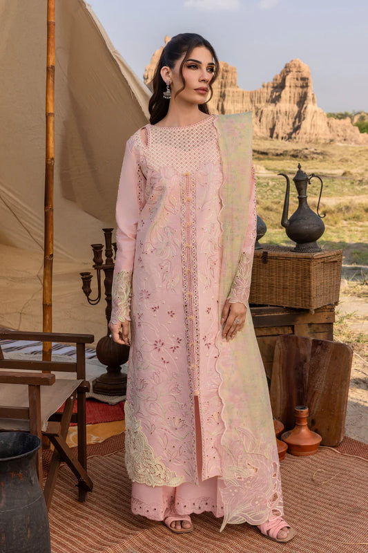 Rang Rasiya | Premium Eid Collection | Nehal
