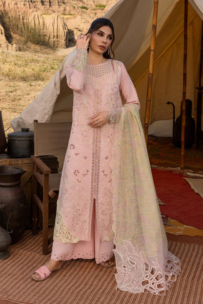Rang Rasiya | Premium Eid Collection | Nehal