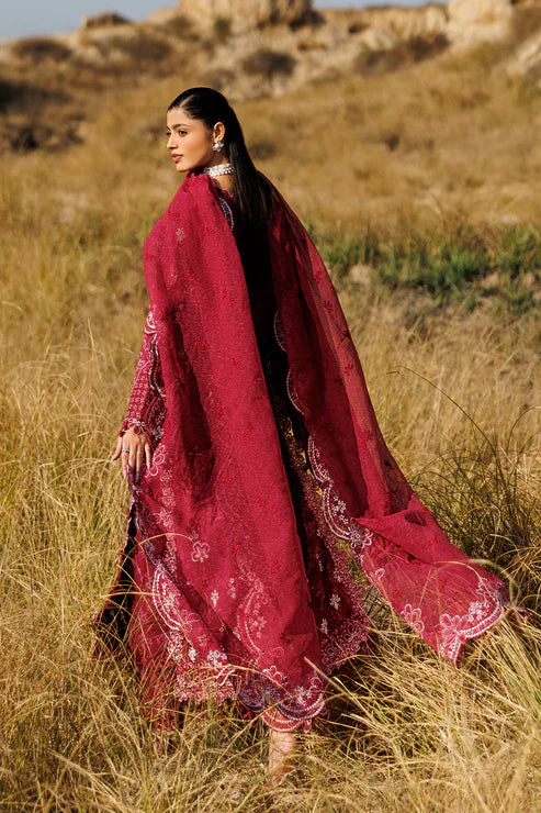 EMAAN ADEEL | SUNLIT GROOVE | RADIANT ROSE