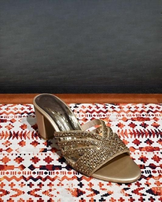 MSM | Fancy Shoes | FS - 01