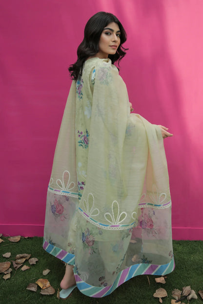 Baroque | Online exclusive lawn | UF-209