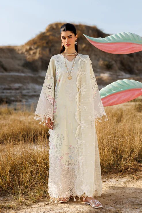 EMAAN ADEEL | SUNLIT GROOVE | BLOSSOM BEAT
