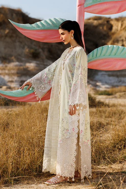EMAAN ADEEL | SUNLIT GROOVE | BLOSSOM BEAT