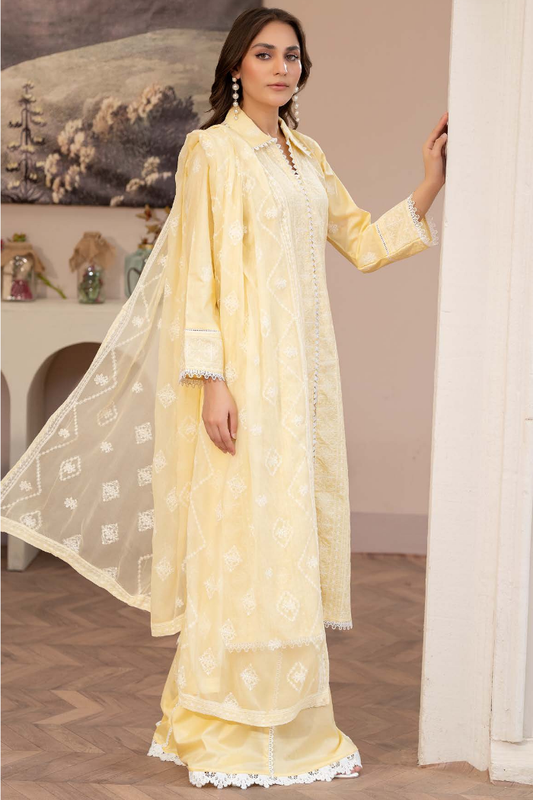 Zainab Fatima | Shamsa Collection | NF - 1446