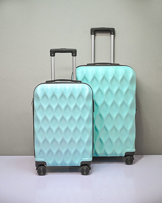 TRAVEL BAG  | D9