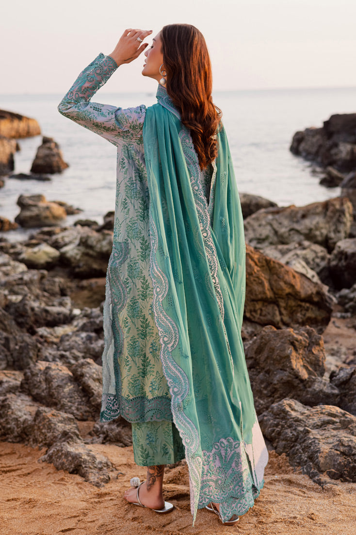MPL-89 B (Greyish Green)
