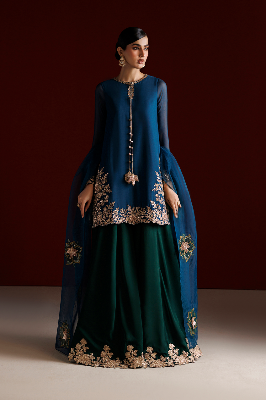 Iznik | Semi Formals'26 Embroidered Chiffon | CC-102