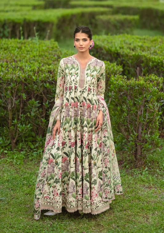 Elaf | Brigerton Prints '26 | PETALINE