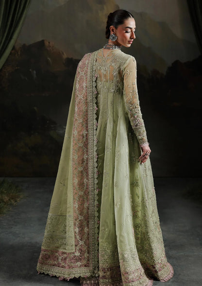 QALAMKAR | FESTIVE | SAGE AURA