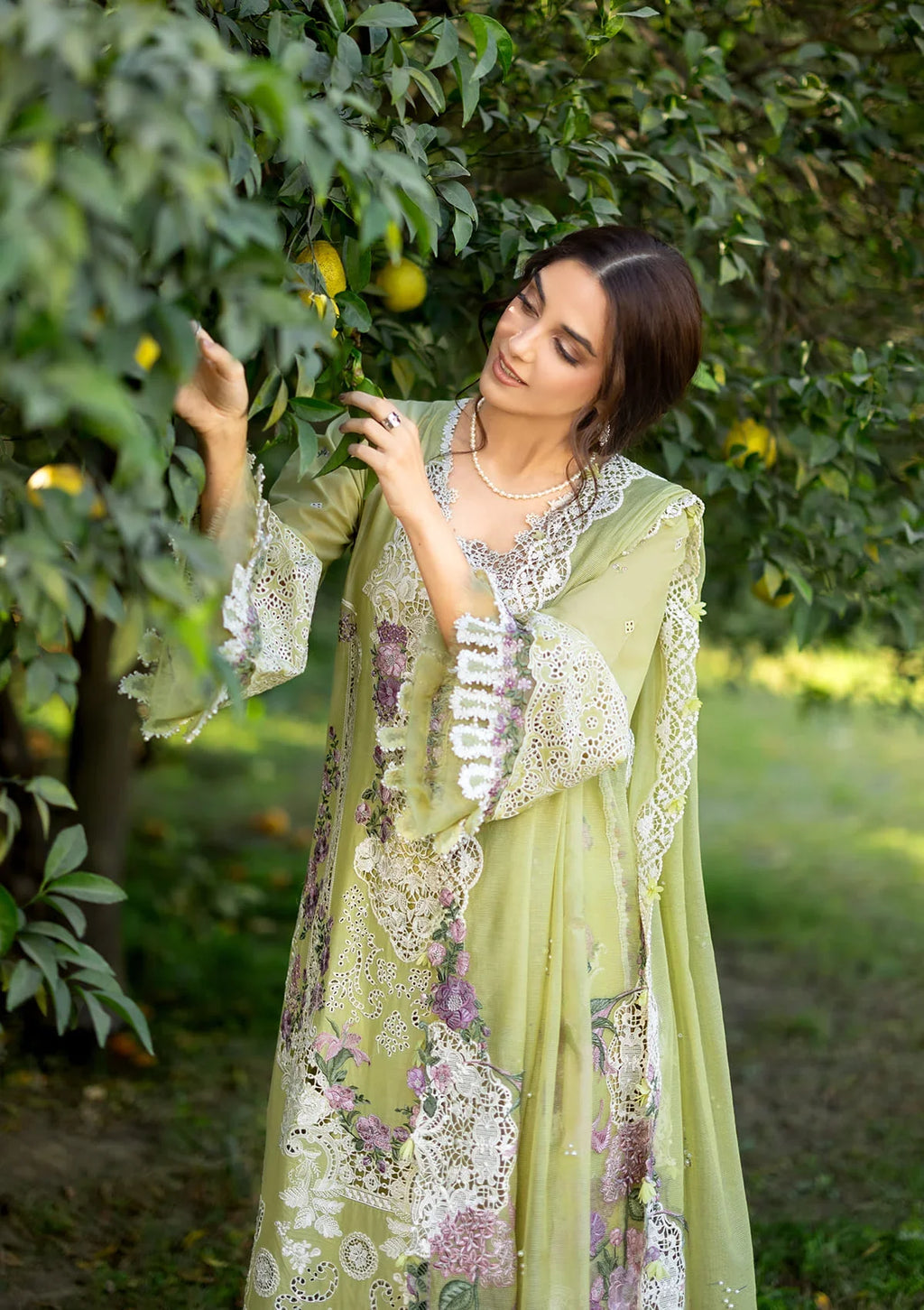 Elaf | Luxary Lawn | Pistachia