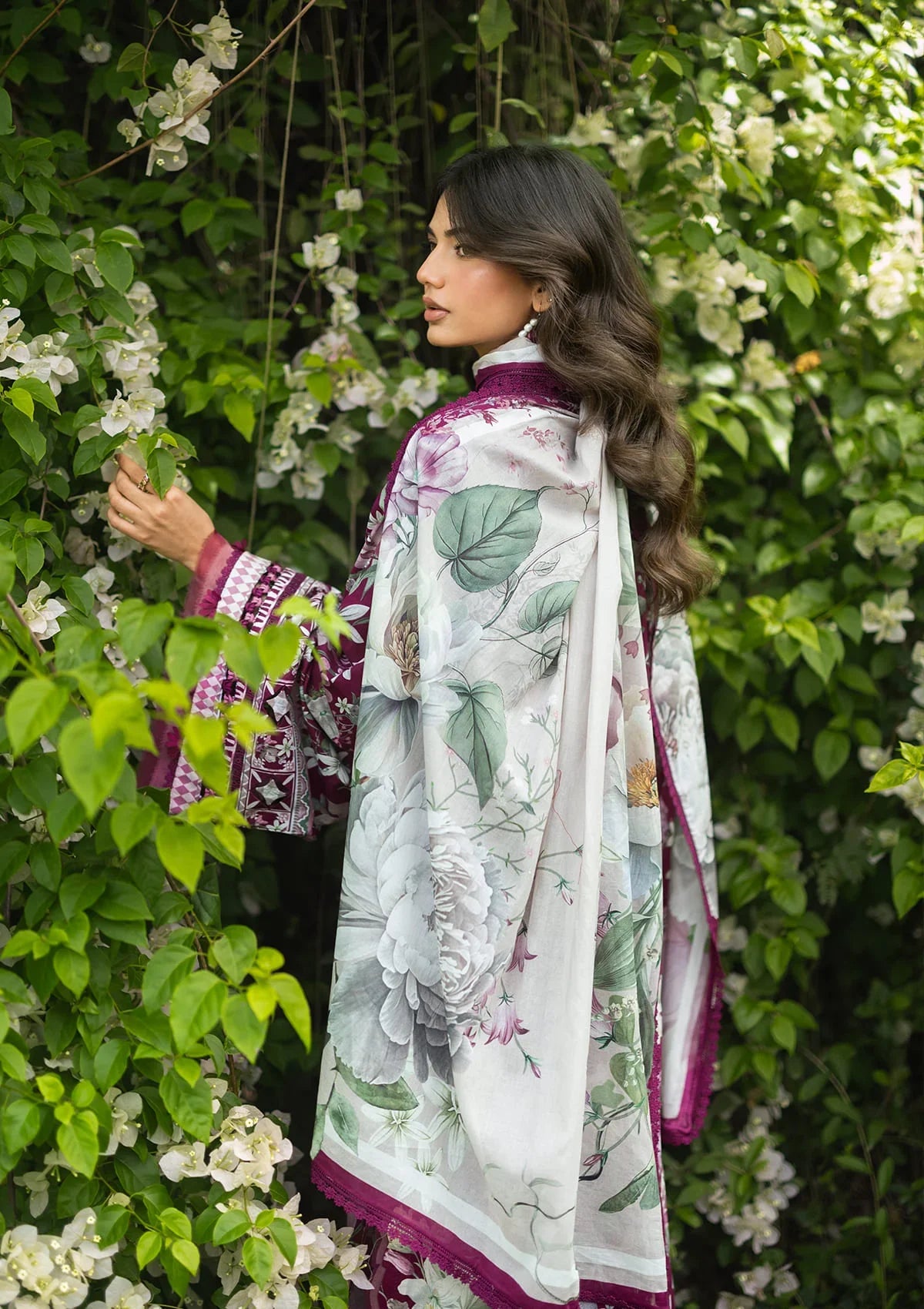 Elaf | Brigerton Prints '26 | DOLCE ROSA