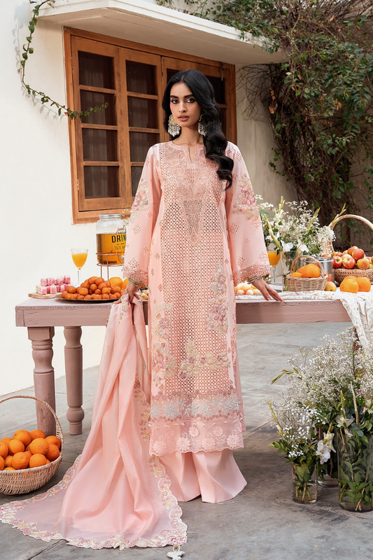 NAQSH | CHIKANKARI FESTIVE EDIT 26' | PEACH BLOSSOM