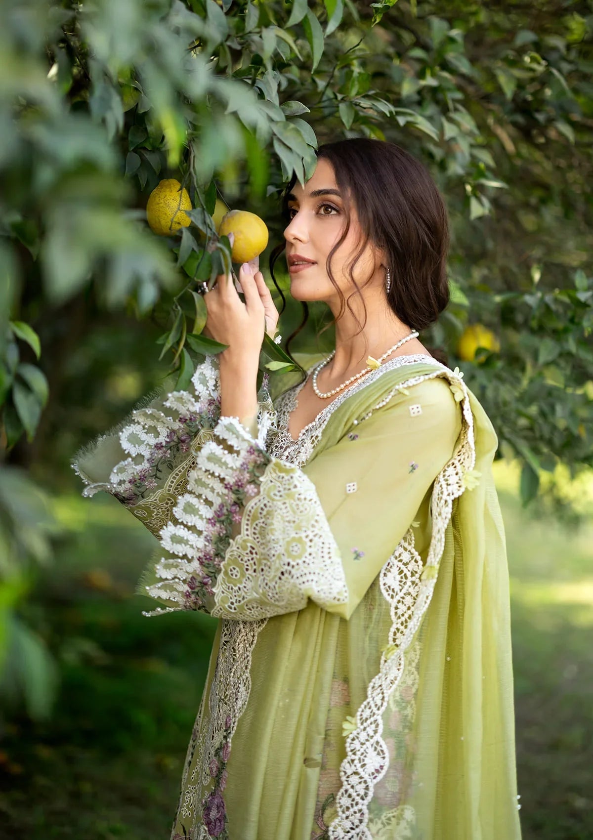 Elaf | Luxary Lawn | Pistachia