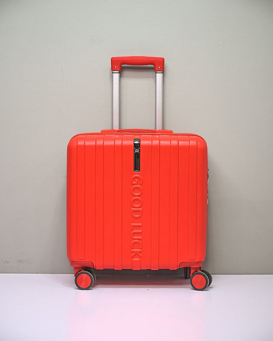 TRAVEL BAG  | D12