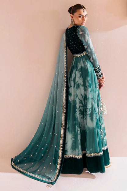 JAZMIN | Embroidered Velvet | CVF D-06