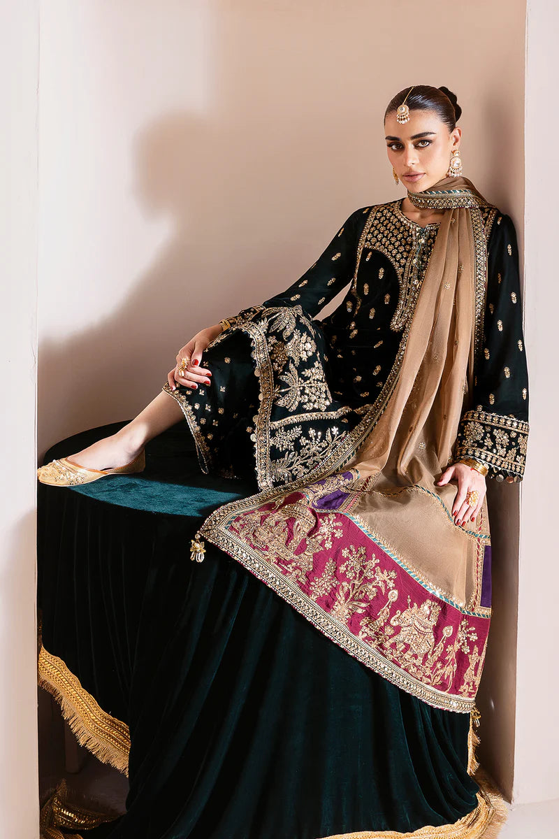 JAZMIN | Embroidered Velvet | CVF D-01