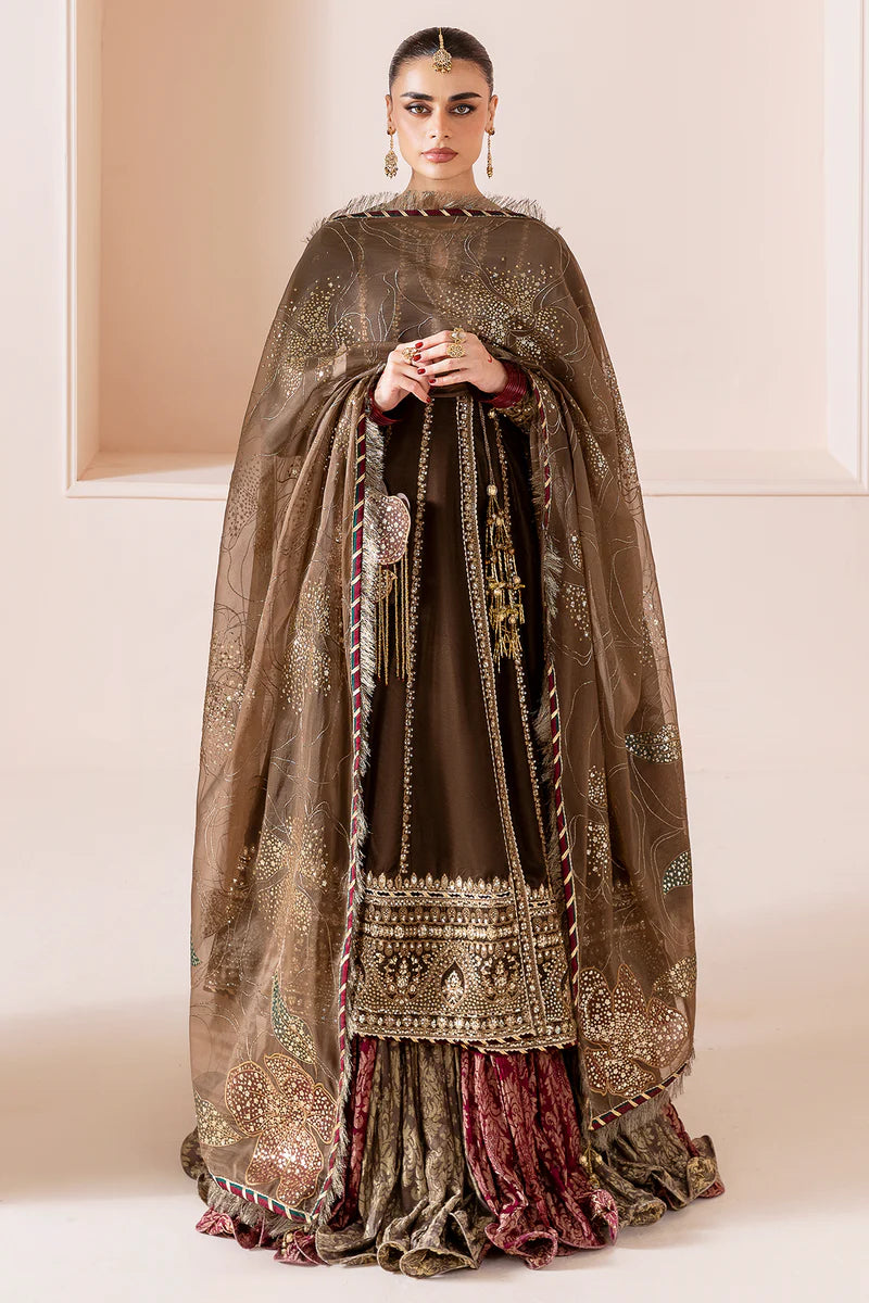 JAZMIN | Embroidered Velvet | CVF D-04