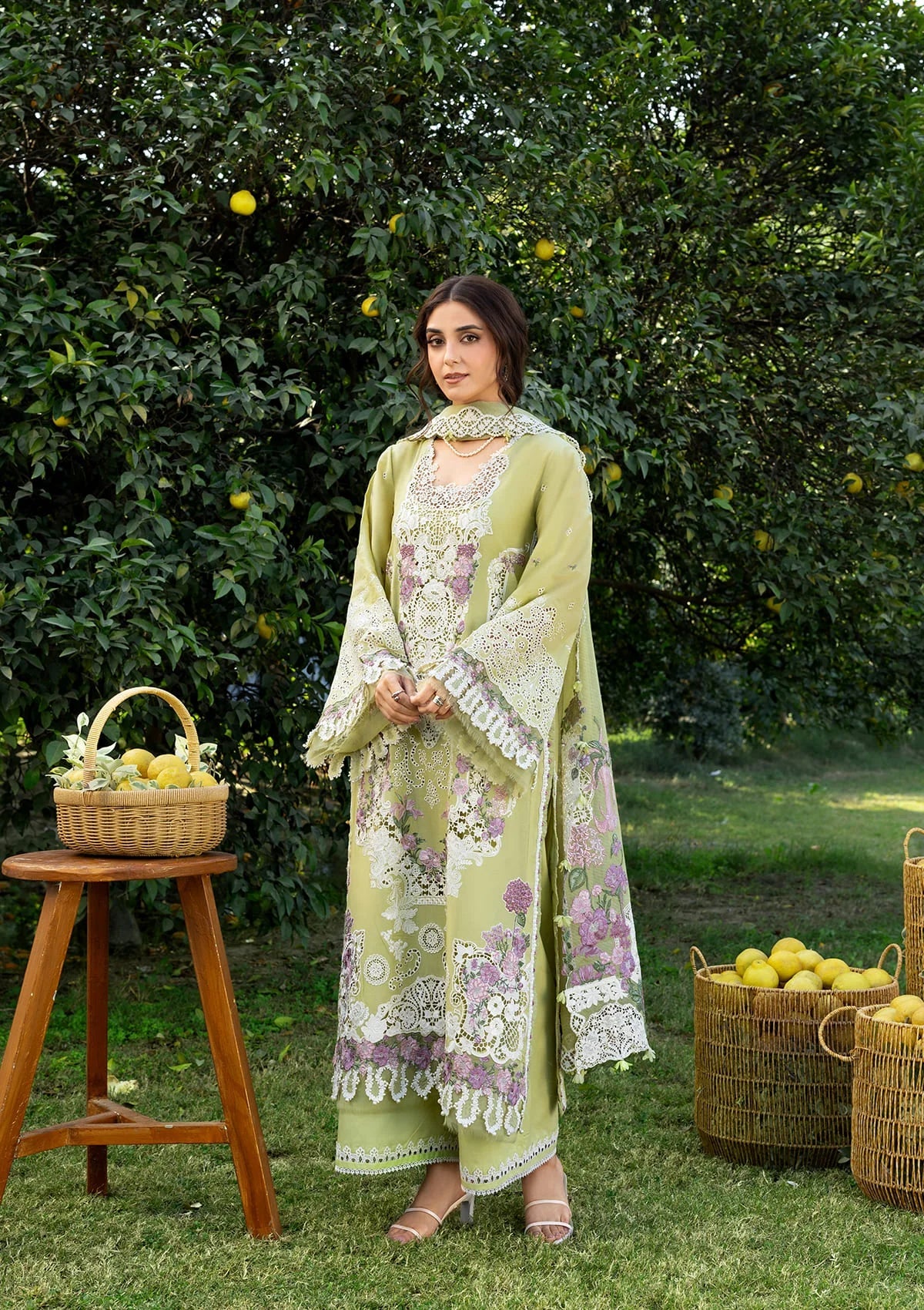 Elaf | Luxary Lawn | Pistachia