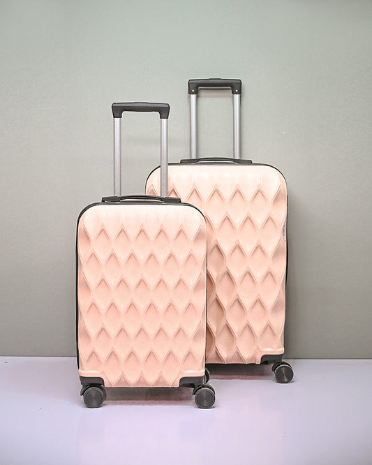 TRAVEL BAG  | D10
