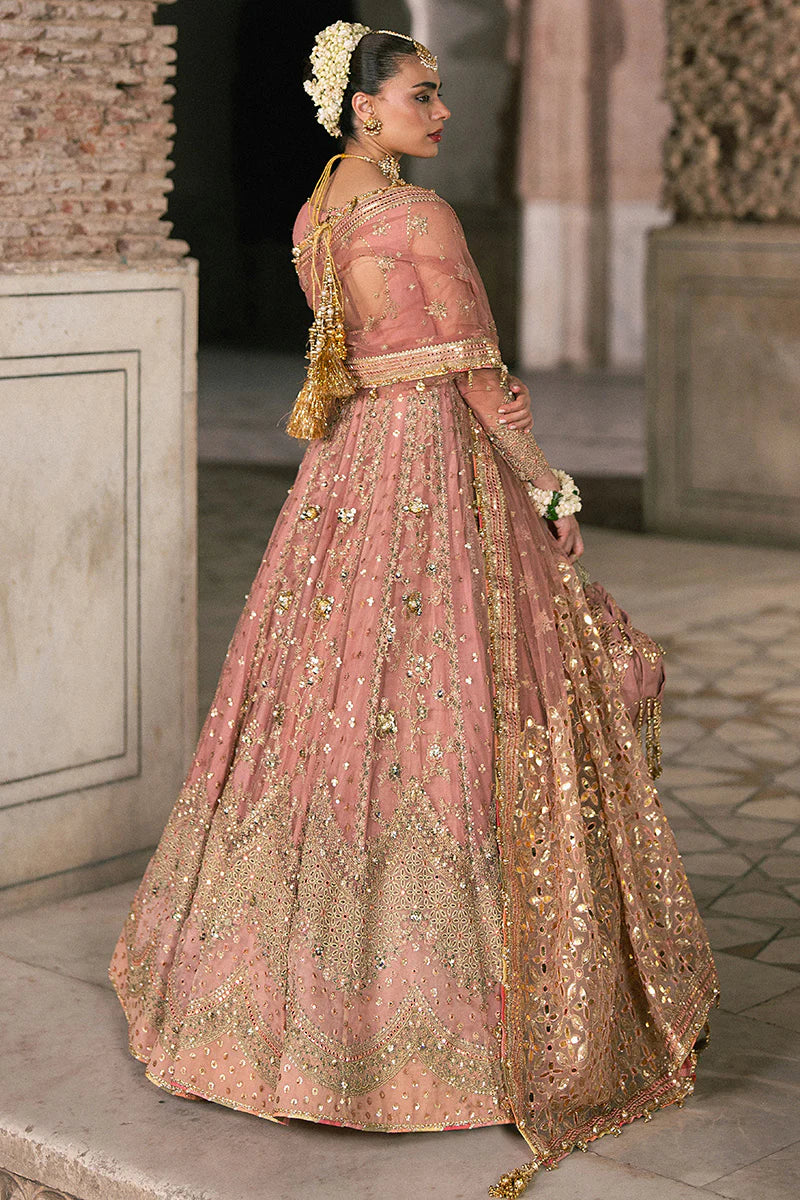 MNR | Zarlish Festive Unstitched | Khushboo