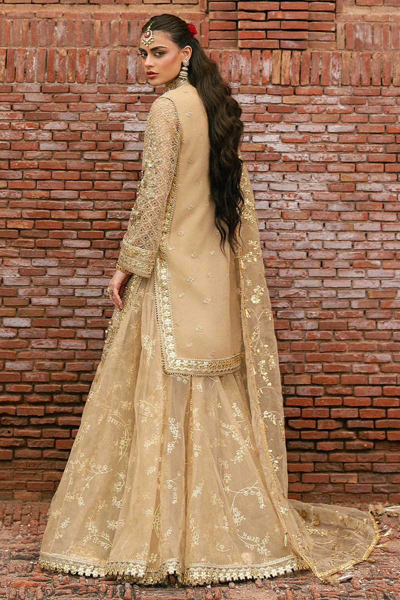 MNR | Zarlish Festive Unstitched | Roshni