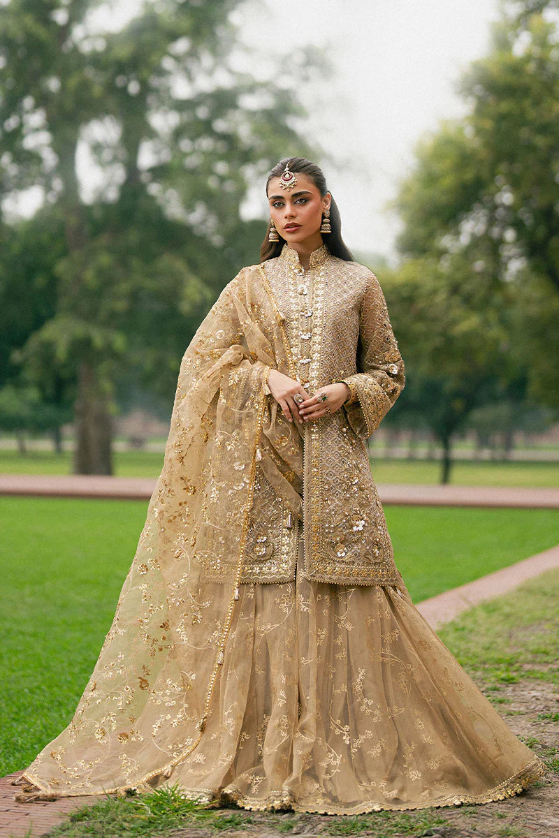 MNR | Zarlish Festive Unstitched | Roshni