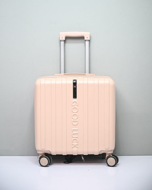 TRAVEL BAG  | D11