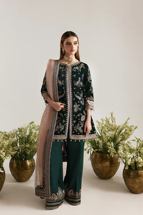 EMAAN ADEEL | FESTIVE VELVET | MEHRUUNISA