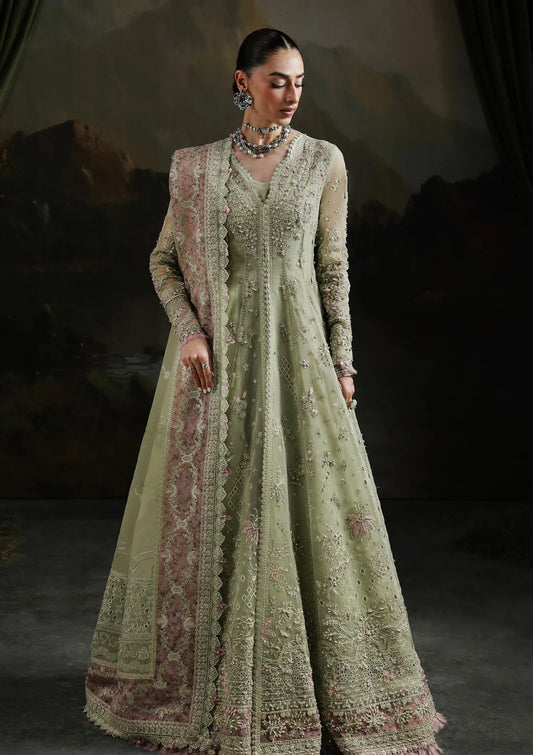 QALAMKAR | FESTIVE | SAGE AURA