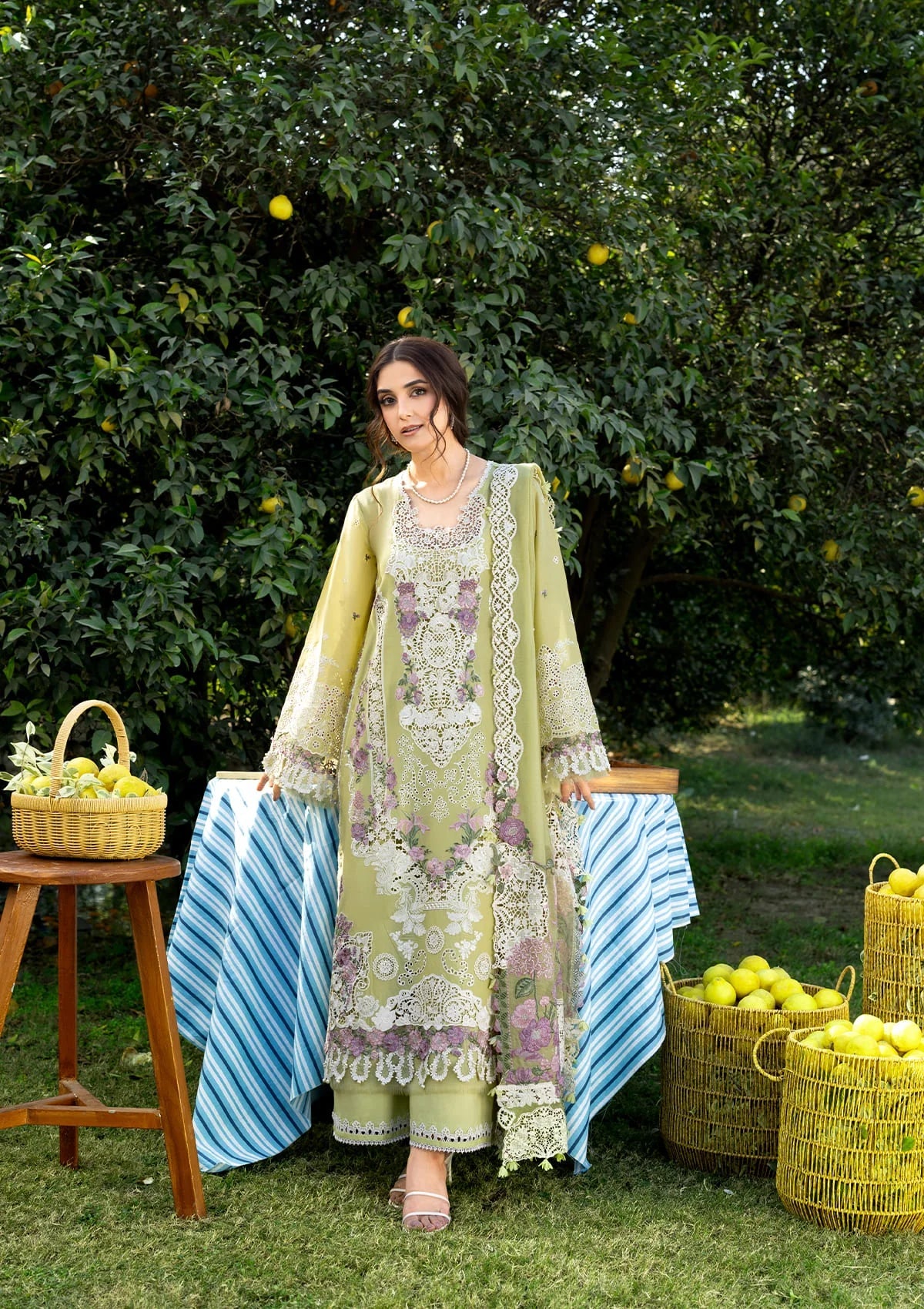Elaf | Luxary Lawn | Pistachia