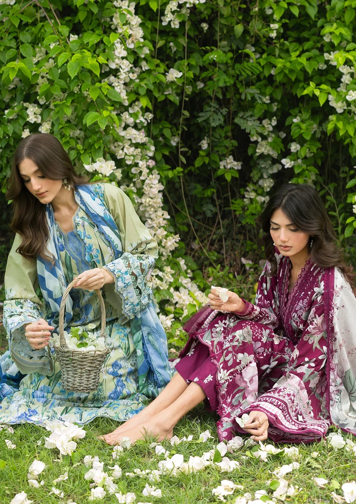Elaf | Brigerton Prints '26 | DOLCE ROSA
