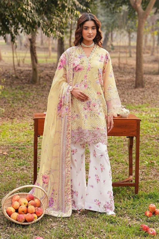 Ramsha | Dhanak Lawn | D - 105
