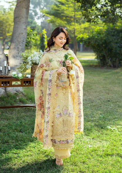 Elaf | Luxary Lawn | Souci