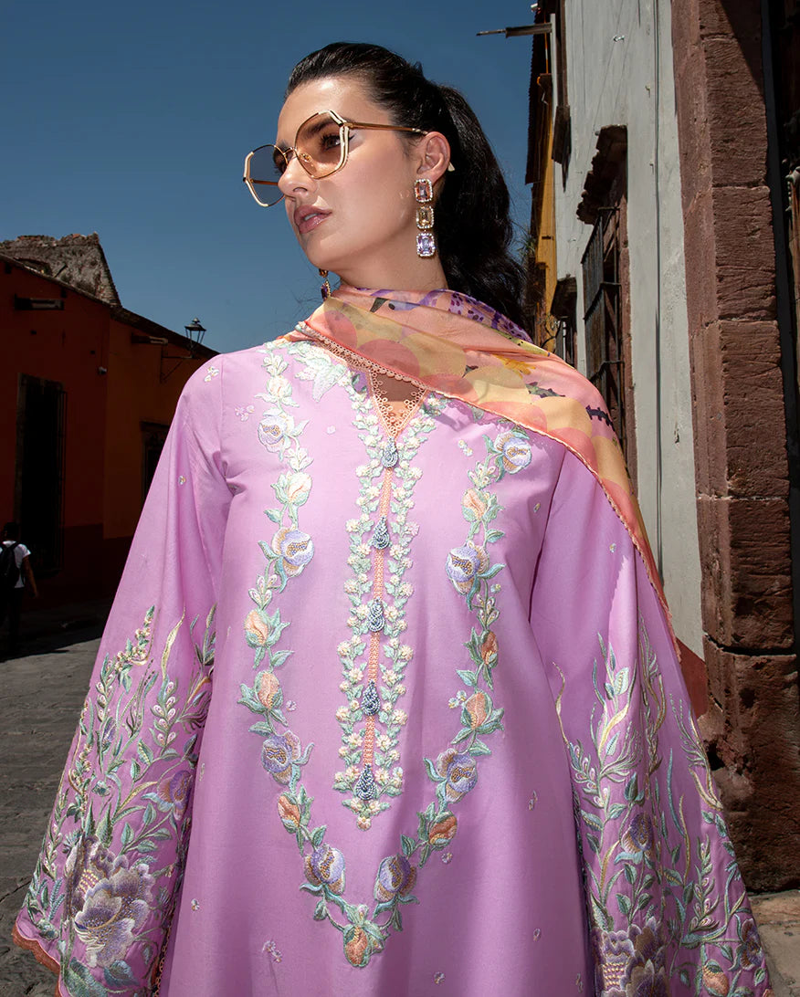Mushq | Odyssey Lawn '26 | Alba