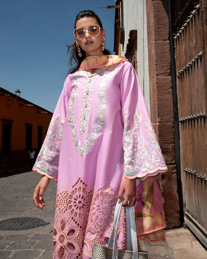Mushq | Odyssey Lawn '26 | Alba