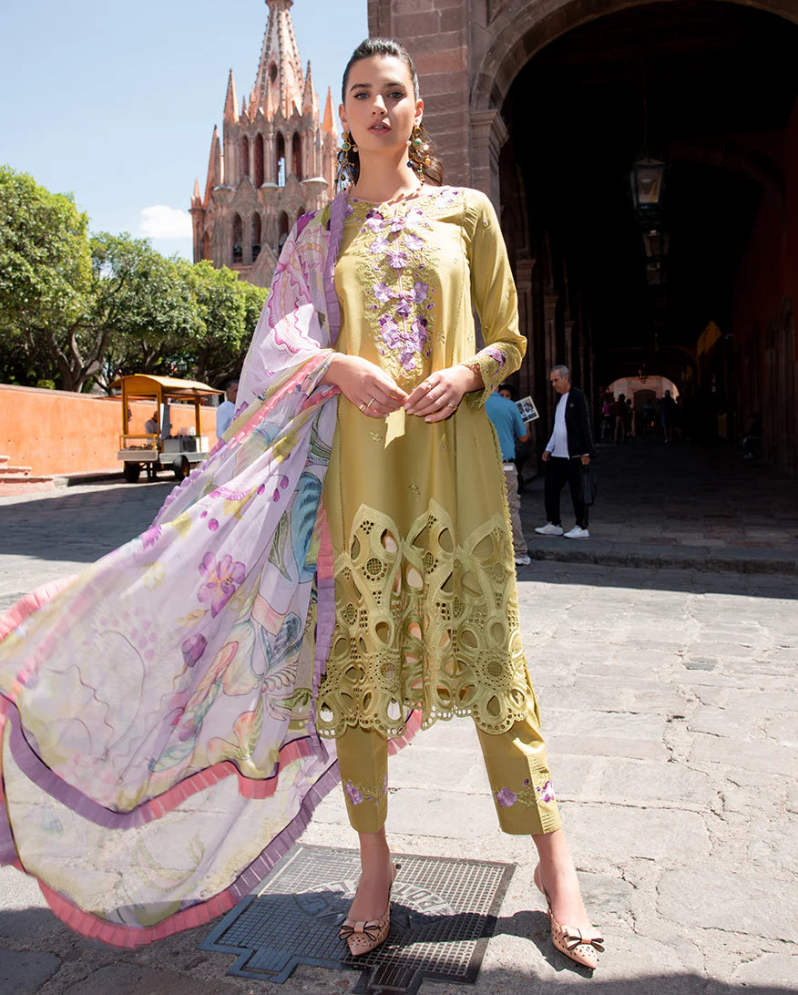 Mushq | Odyssey Lawn '26 | Aranza