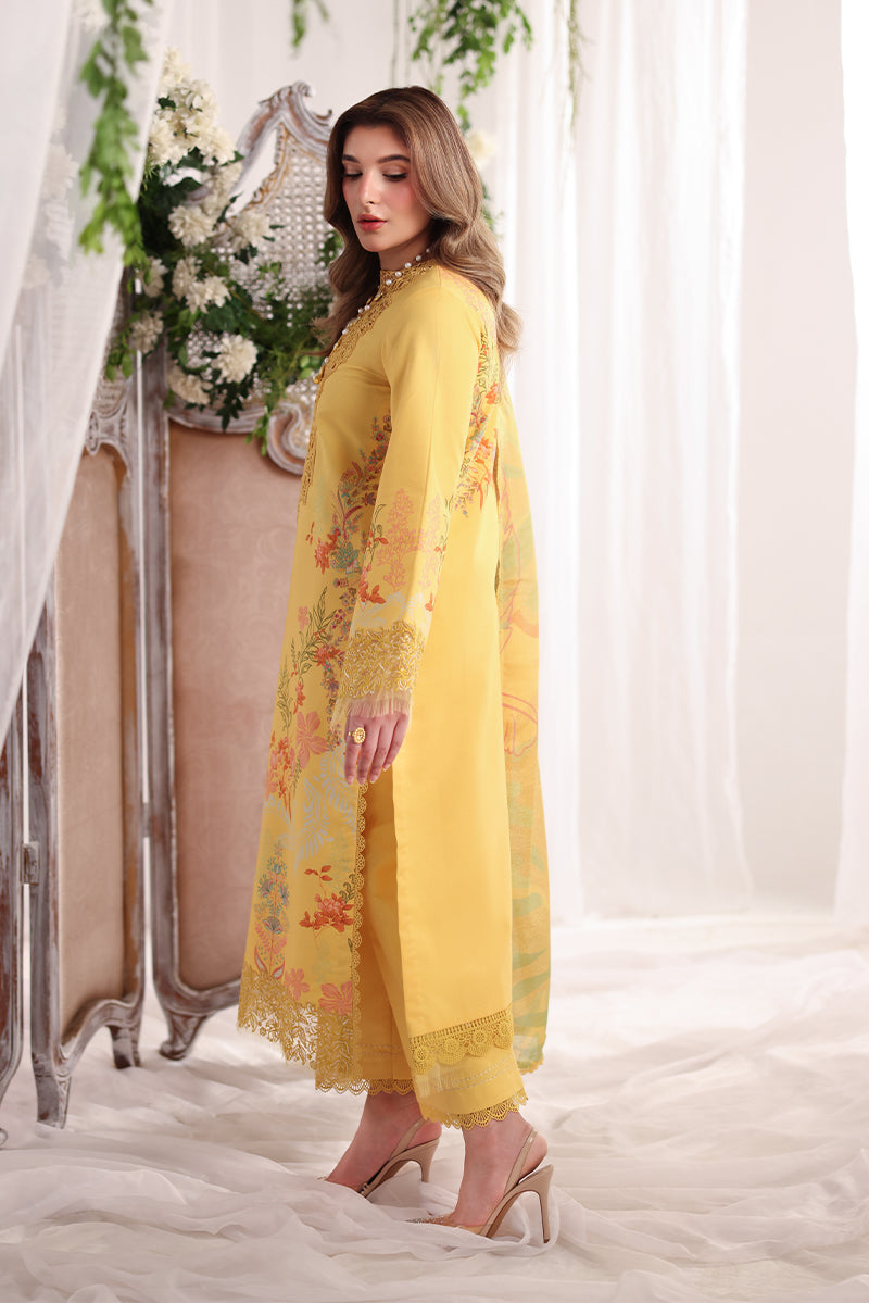 Rang Rasiya | Nova Summer Embroidered Edit '26 | Aurora