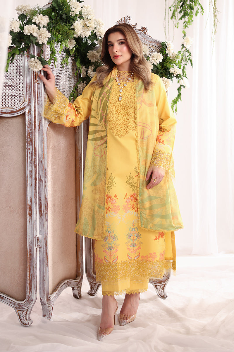 Rang Rasiya | Nova Summer Embroidered Edit '26 | Aurora