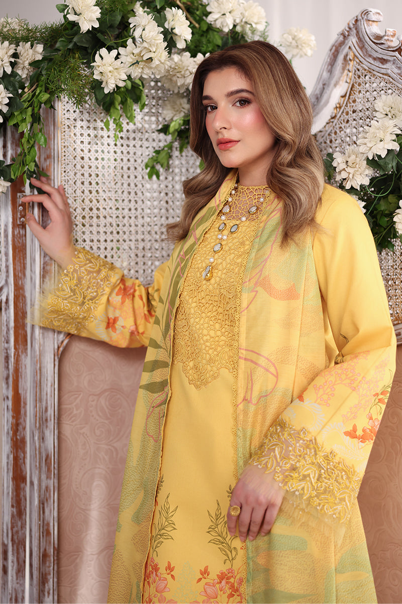 Rang Rasiya | Nova Summer Embroidered Edit '26 | Aurora