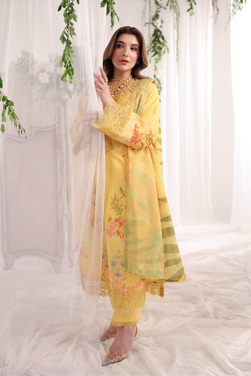 Rang Rasiya | Nova Summer Embroidered Edit '26 | Aurora