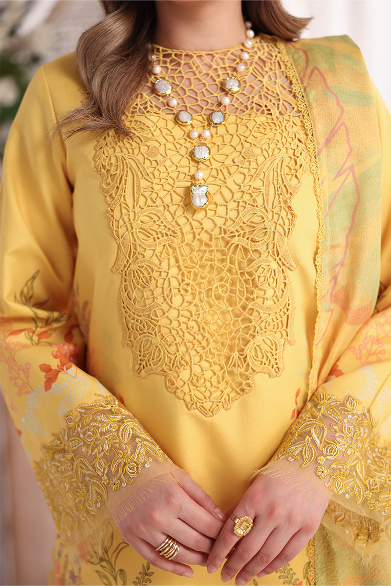 Rang Rasiya | Nova Summer Embroidered Edit '26 | Aurora