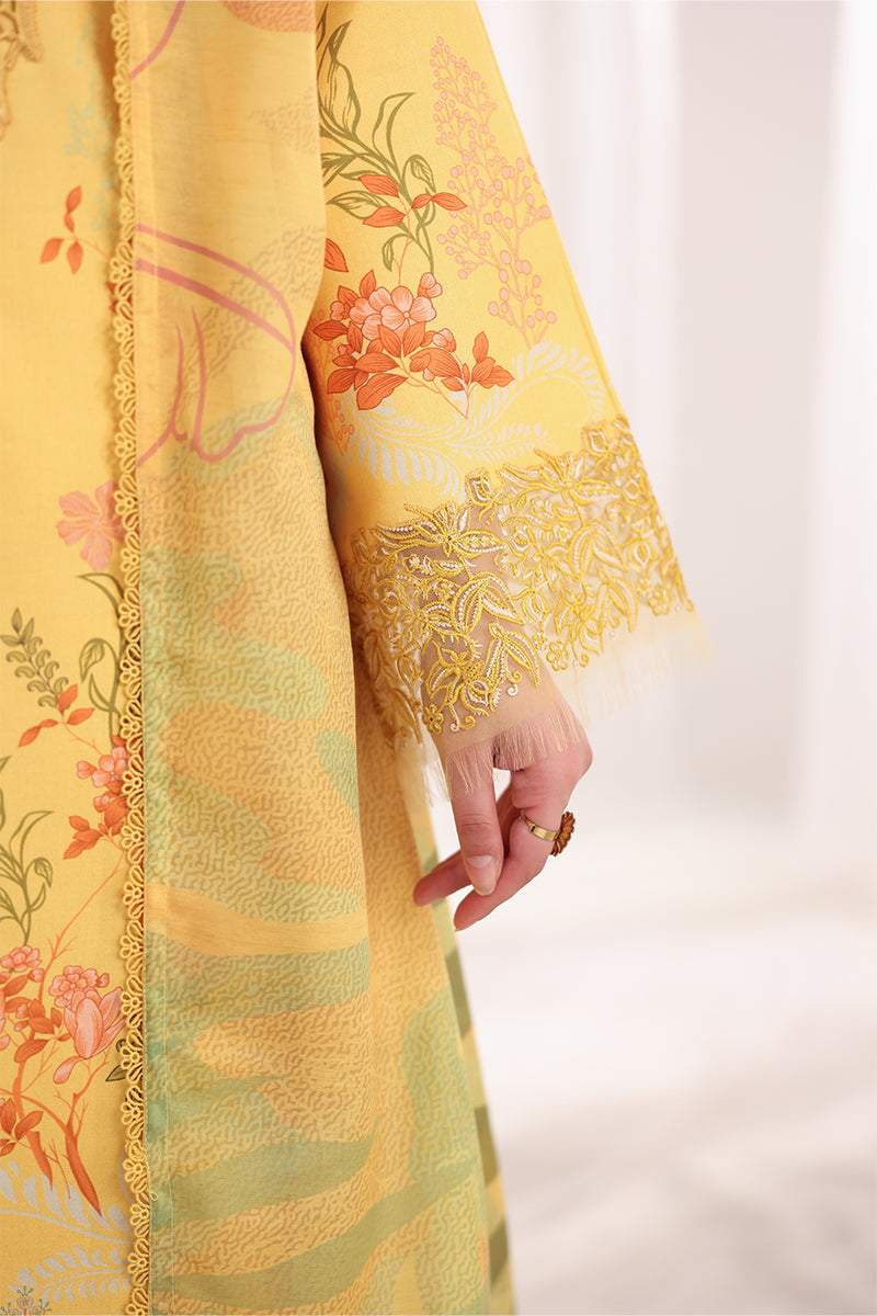 Rang Rasiya | Nova Summer Embroidered Edit '26 | Aurora