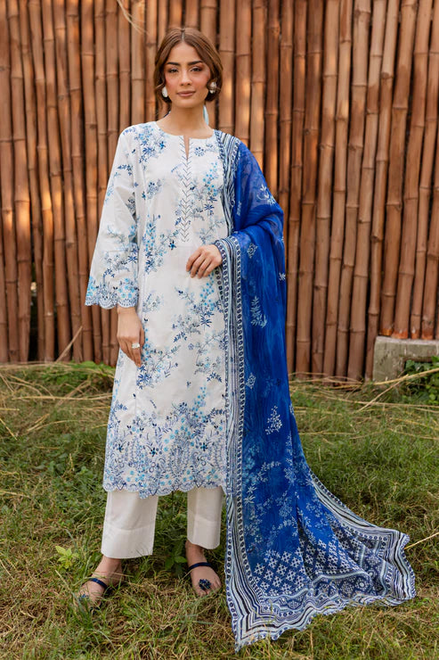 Rashid | Bagh lawn 25 | D10