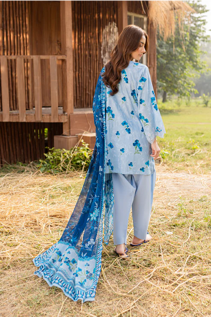 Rashid | Bagh lawn 25 | D3