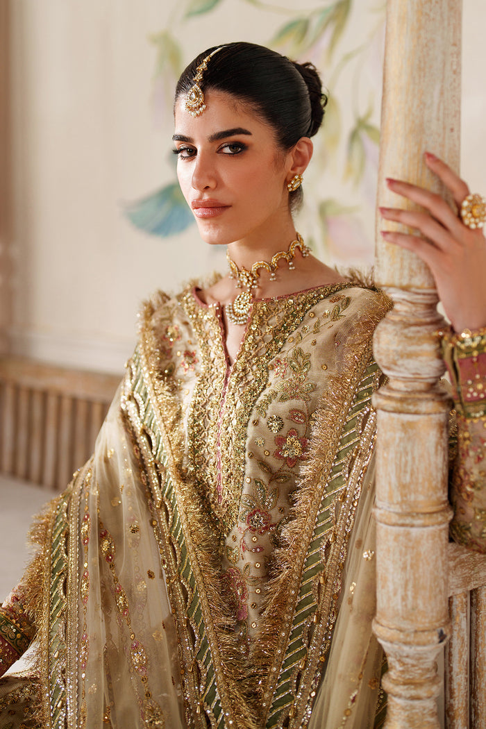 Baroque | Chantelle Embroidered Chiffon | CH14-02