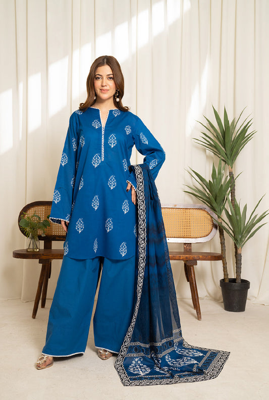 COCO BY ZSJ | SULE PRINTED LAWN 25 | D01
