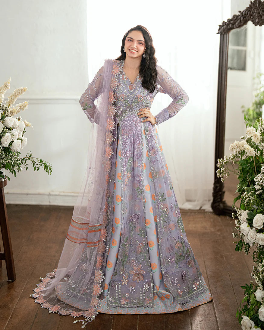 MUSHQ | FESTIVE CHIFFON | Rangeela Raag