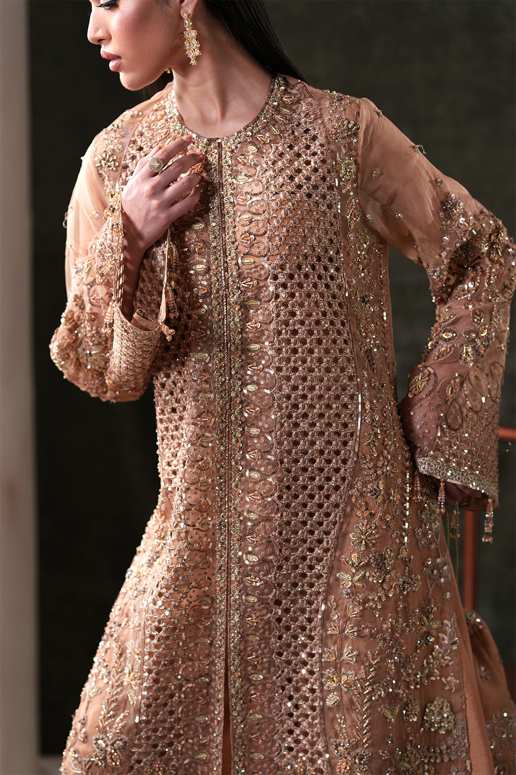 Emaan Adeel | Starlit Jewels Chiffon | Hessonite